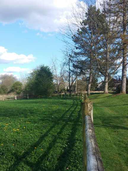 Ask4Survey-Boundary-Surveys